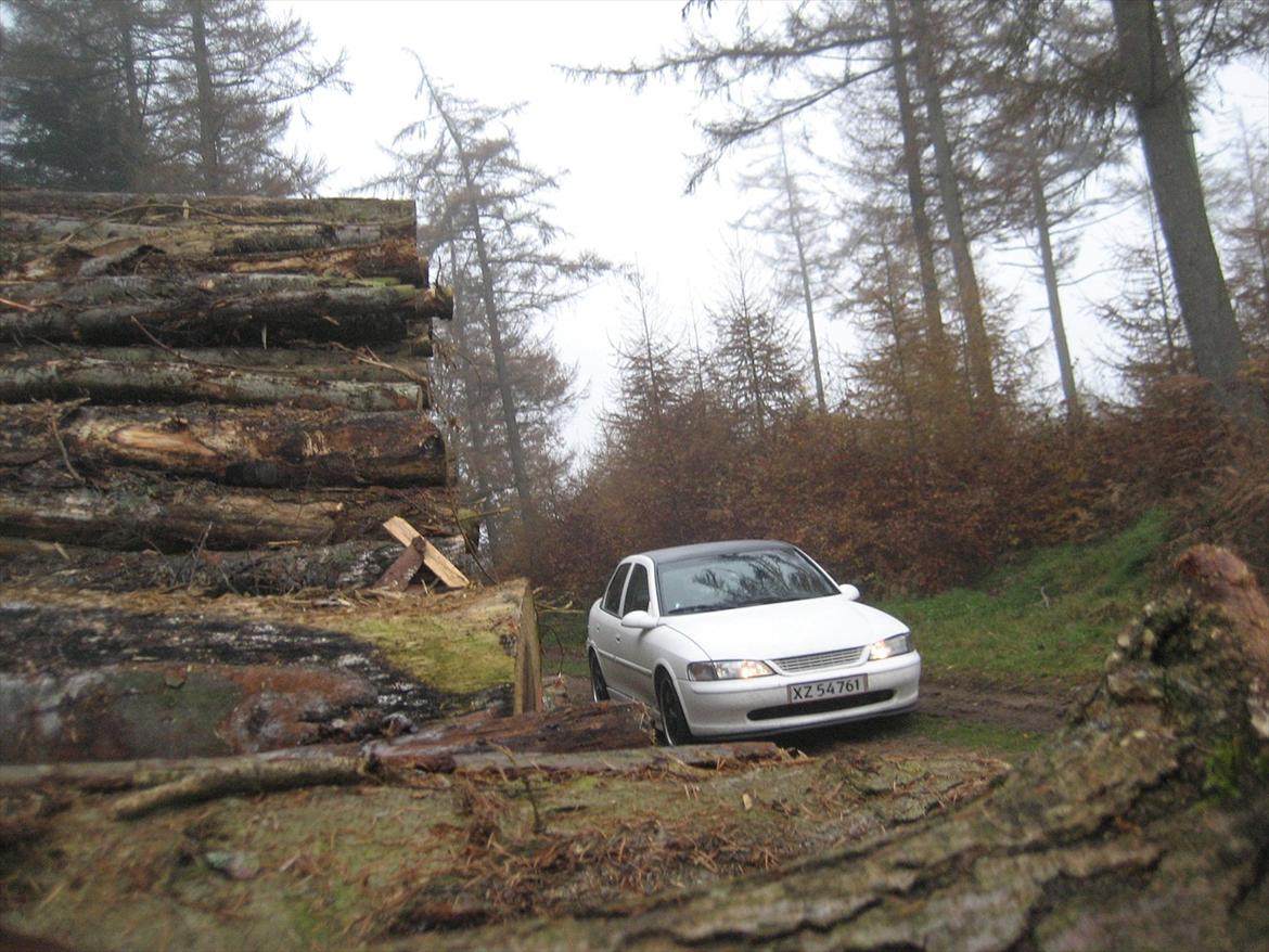 Opel Vectra B billede 6