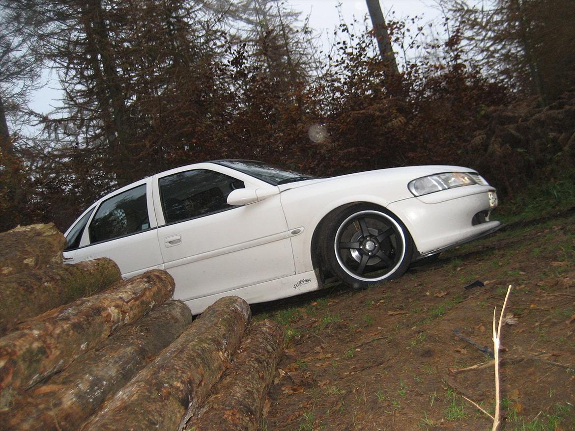 Opel Vectra B billede 7