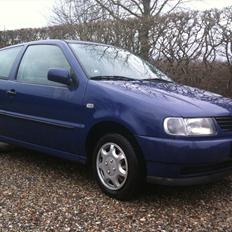 VW Polo 6n 1,4 8v (SOLGT)