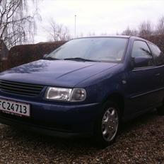 VW Polo 6n 1,4 8v (SOLGT)