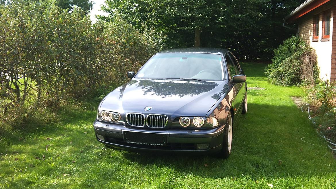BMW 523  e39 billede 5