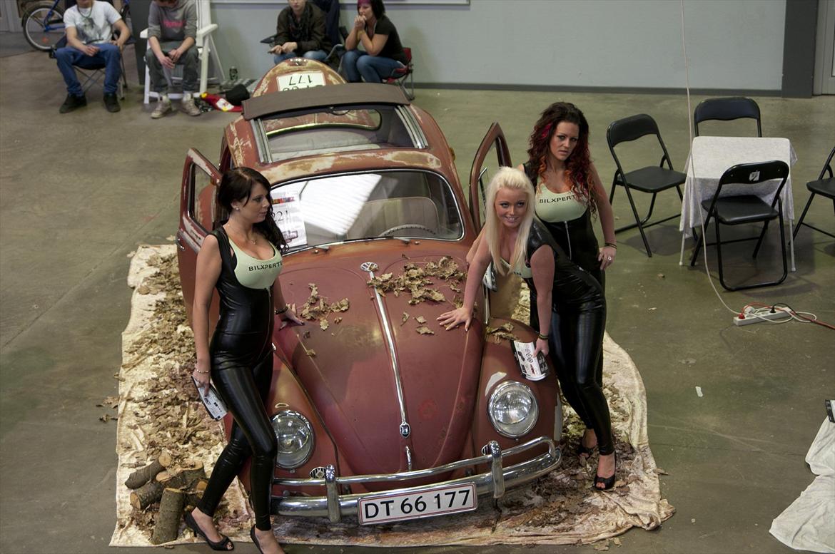 VW bobbel billede 2