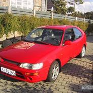 Toyota Corolla (SOLGT) R.I.P 