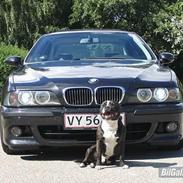 BMW 528i til salg