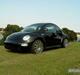 VW BEETLE