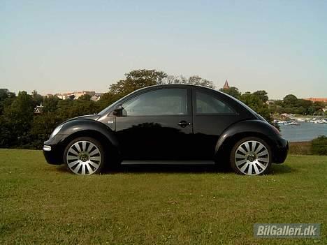 VW BEETLE billede 2