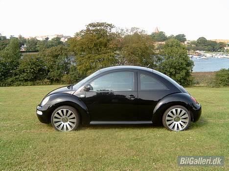 VW BEETLE billede 5