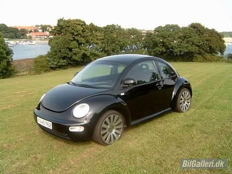 VW BEETLE billede 6
