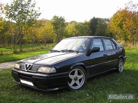 Alfa Romeo 33 billede 1