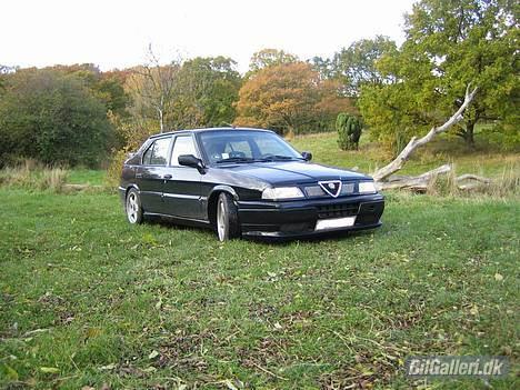 Alfa Romeo 33 billede 2