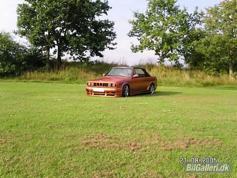 BMW 325i Cabriolet billede 4