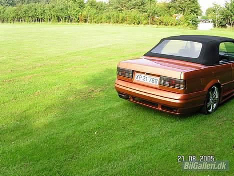 BMW 325i Cabriolet billede 7