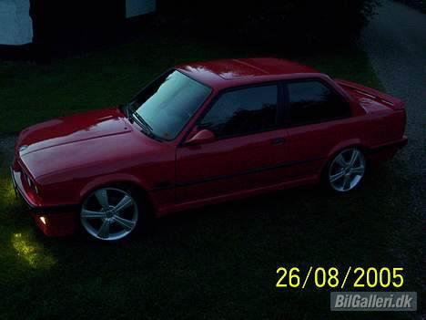BMW E30is - fugl ;-) billede 17