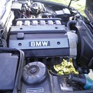 BMW e34