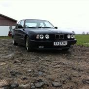 BMW 520i 24v Død RUST