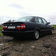 BMW 520i 24v Død RUST
