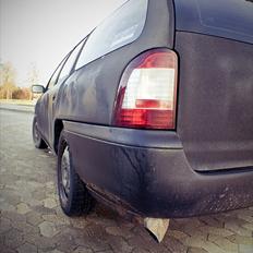 Ford Mondeo Stc. Hundebil