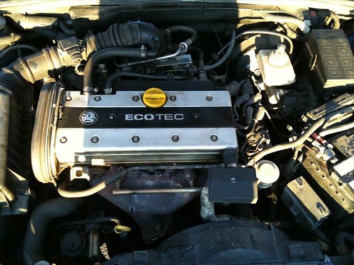 Opel Vectra B billede 9