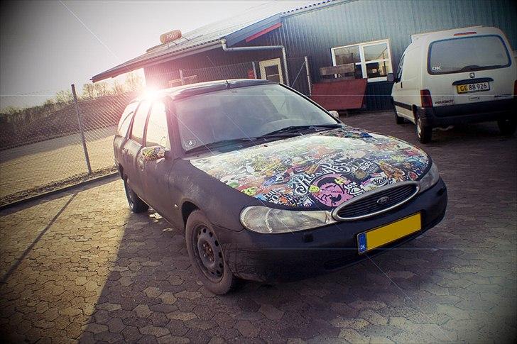 Ford Mondeo Stc. Hundebil billede 1