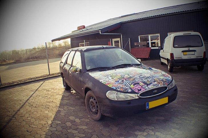 Ford Mondeo Stc. Hundebil billede 10