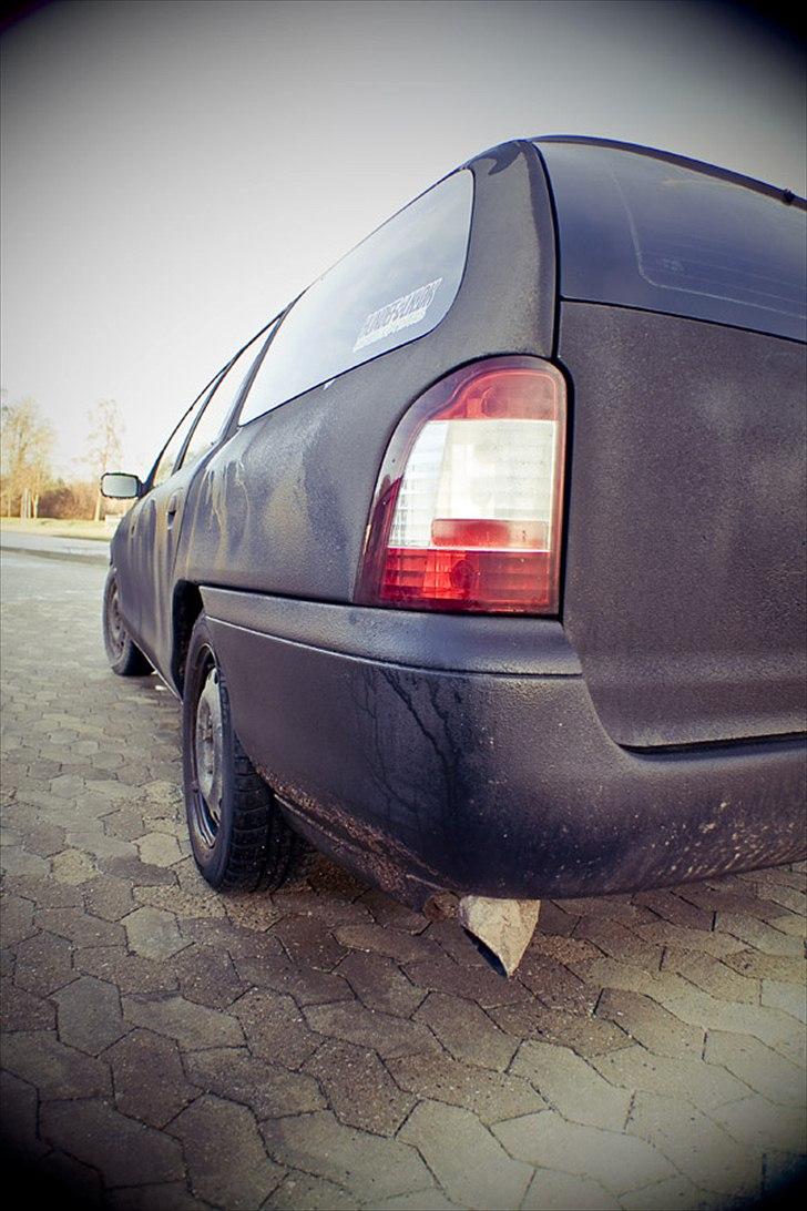 Ford Mondeo Stc. Hundebil billede 2