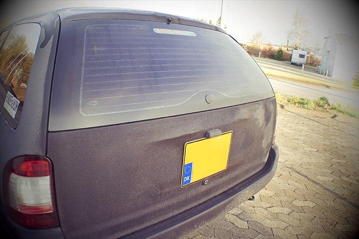 Ford Mondeo Stc. Hundebil billede 6