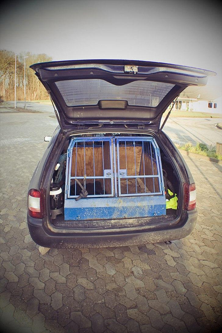 Ford Mondeo Stc. Hundebil billede 5