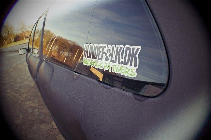 Ford Mondeo Stc. Hundebil billede 8