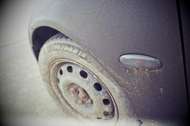 Ford Mondeo Stc. Hundebil billede 11