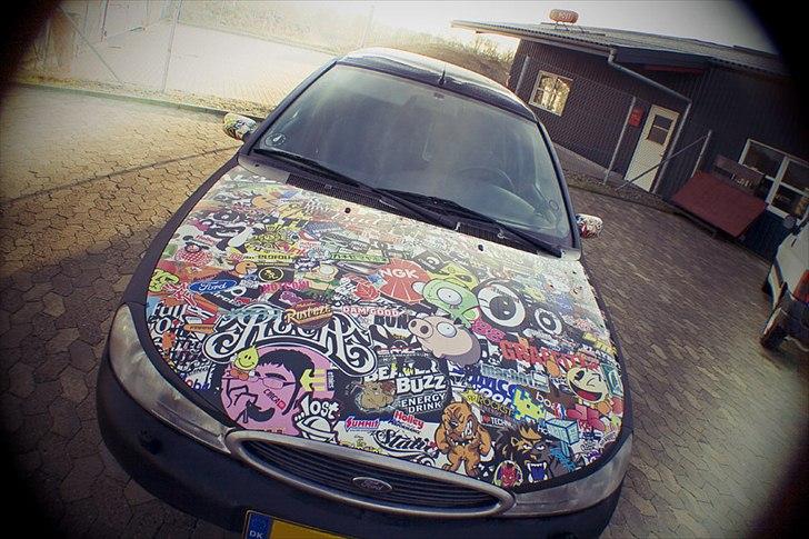 Ford Mondeo Stc. Hundebil billede 3