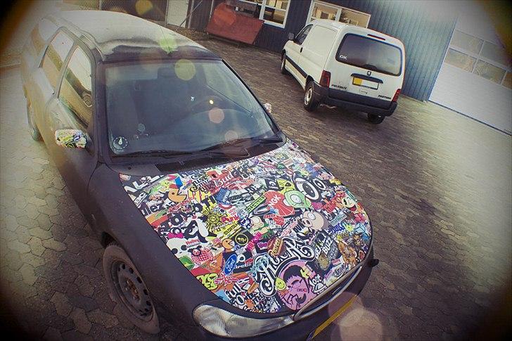 Ford Mondeo Stc. Hundebil billede 12