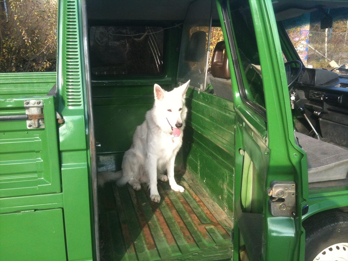 VW t3 - for nogen er det en camper billede 11