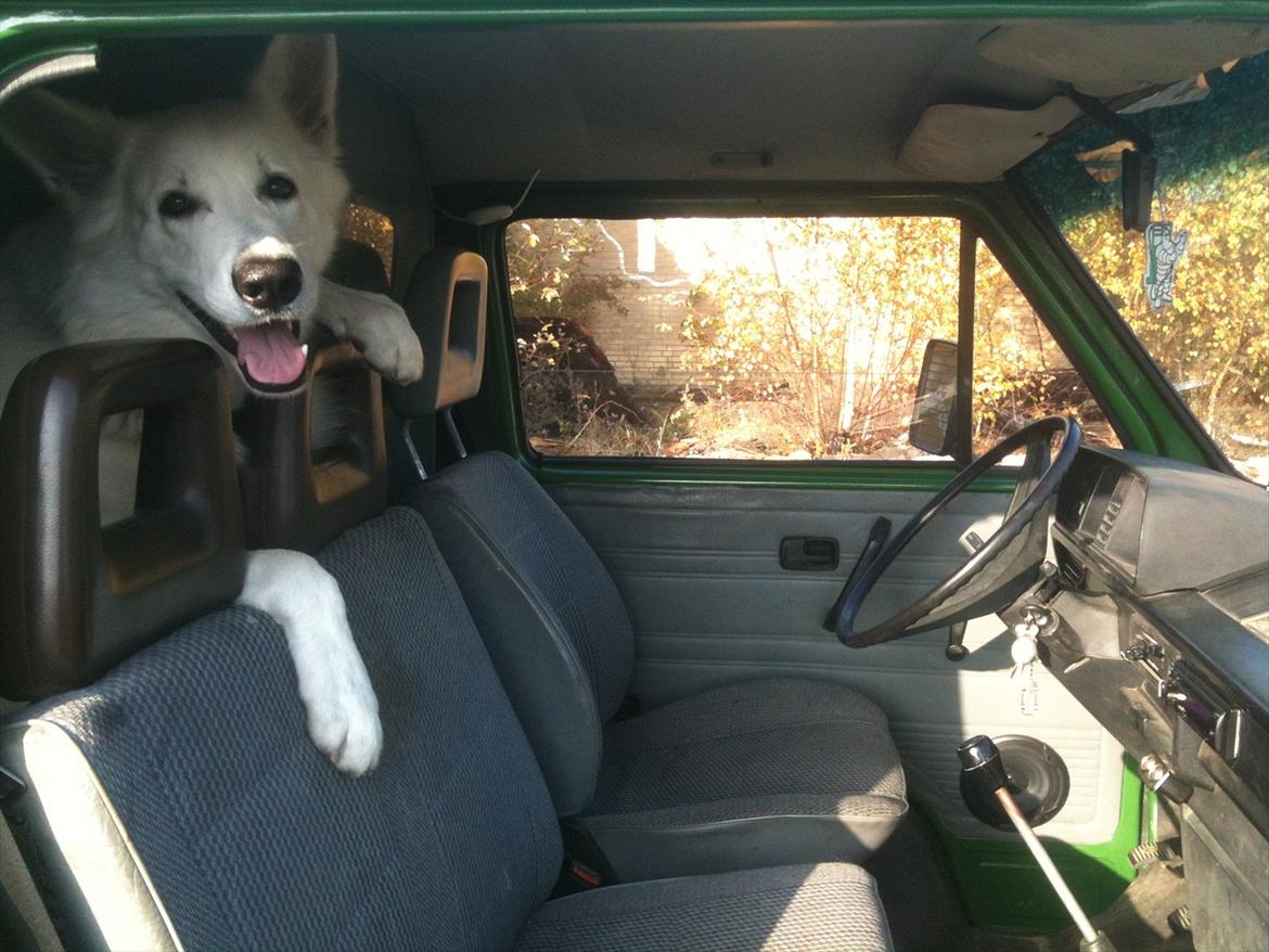 VW t3 - alarmen der åd min previa. har har dog ikke fået smag for vw'er  billede 12