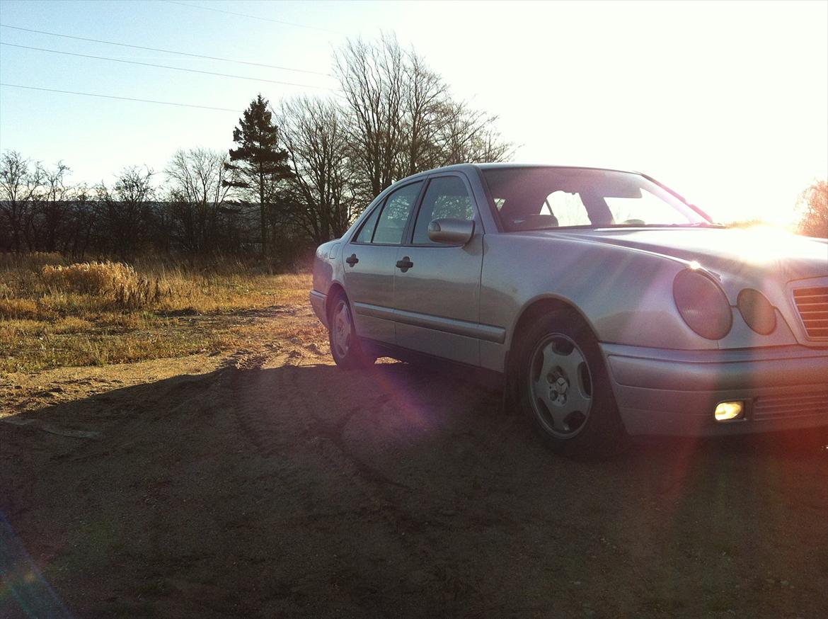 Mercedes Benz W210 E300 D billede 6