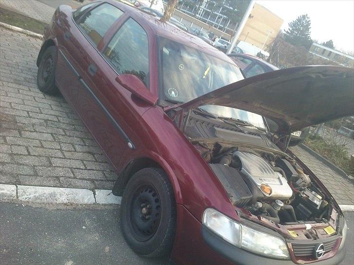 Opel Vectra B 1,6 16V Comfort SOLGT billede 3