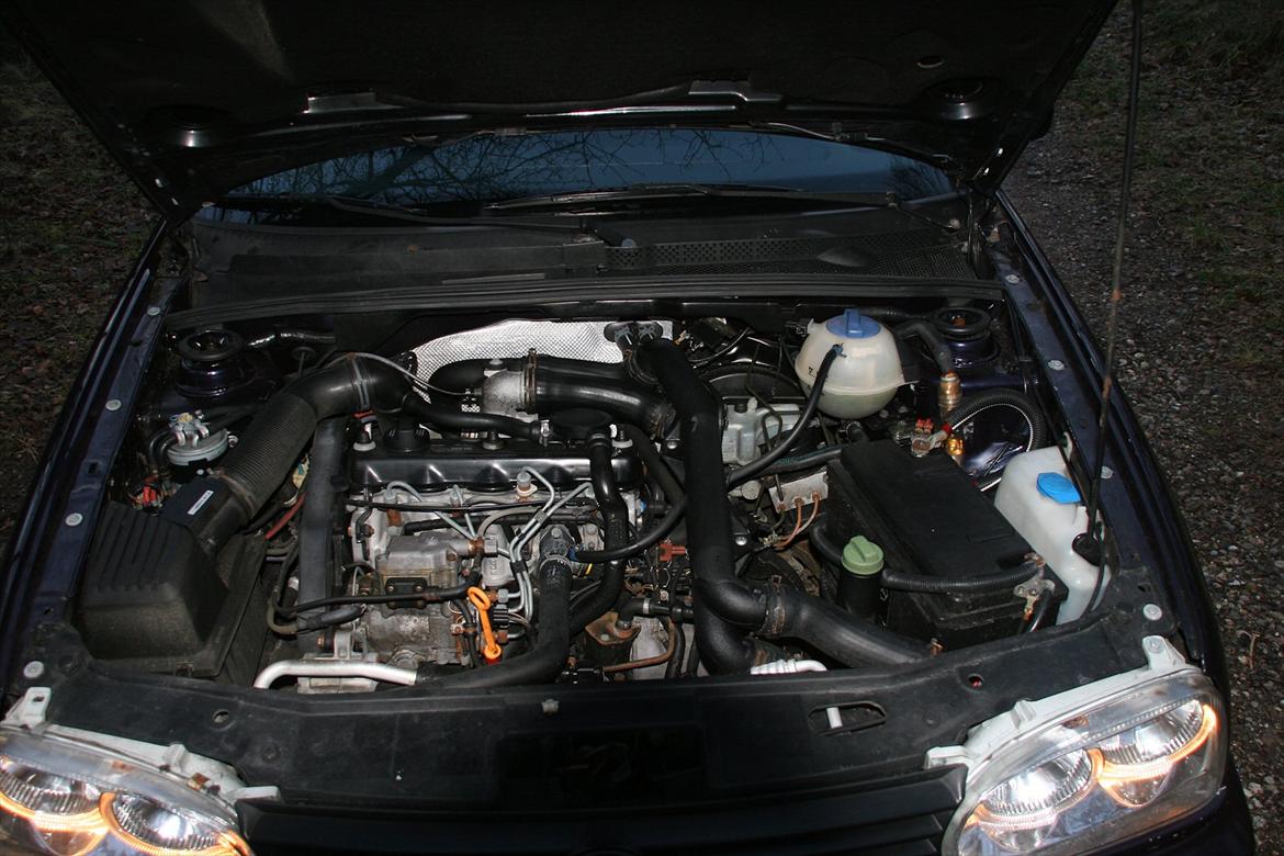VW Golf III 1,9 TDi (solgt) - pure diesel muscle. pænt vedligeholdt motorrum. man kan sgu ikke se at traktoren har rundet 350.000 billede 9