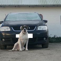 VW Touran  2,0 TDi 140 6g