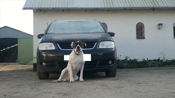 VW Touran  2,0 TDi 140 6g billede 1