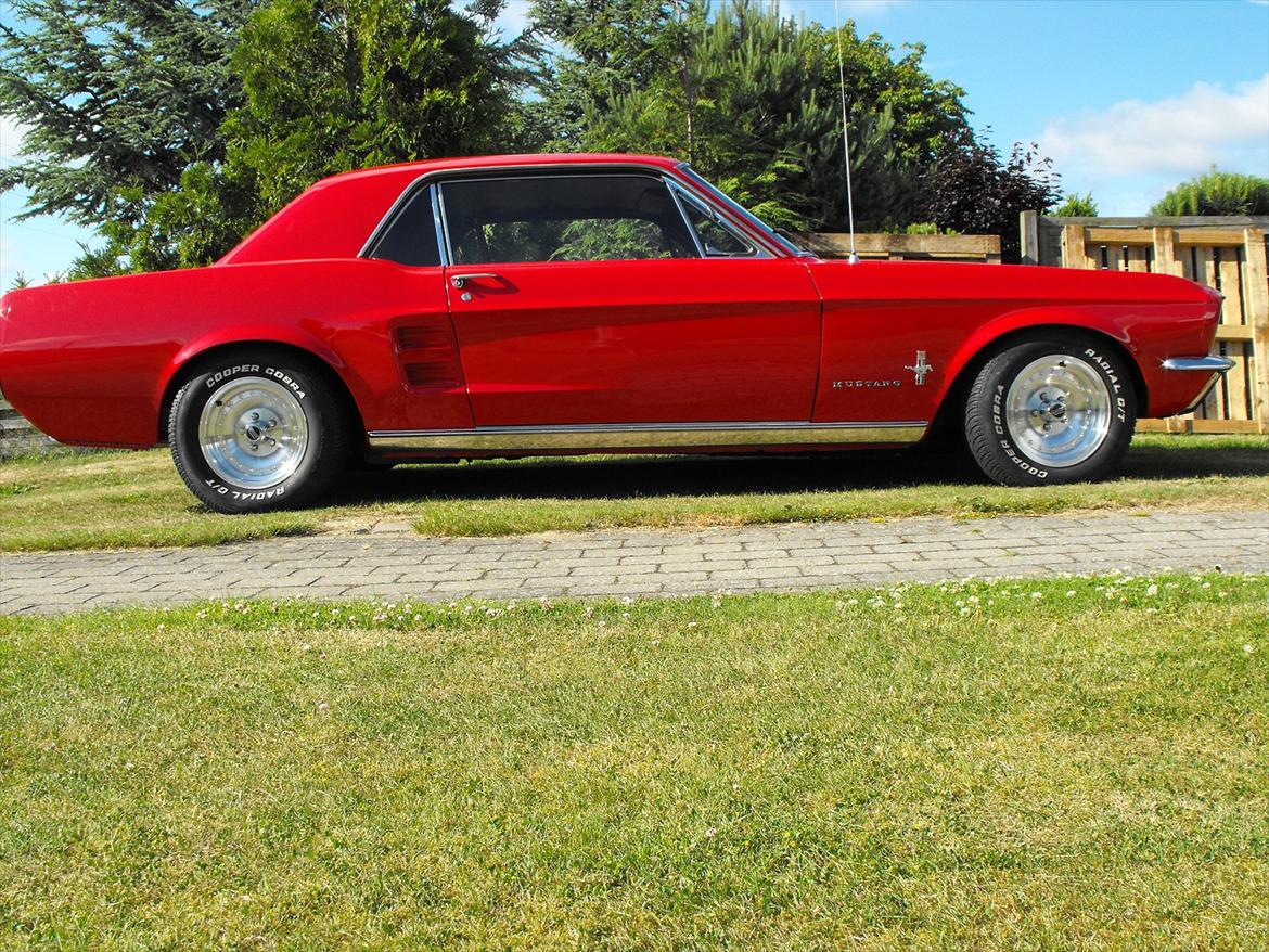 Ford mustang billede 1