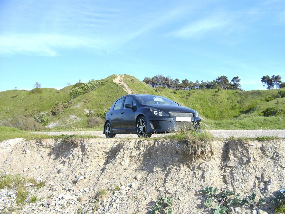 Peugeot 307 billede 17