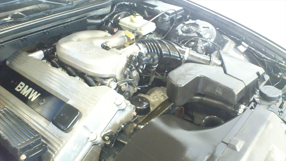 BMW e36 318 ti compact billede 6