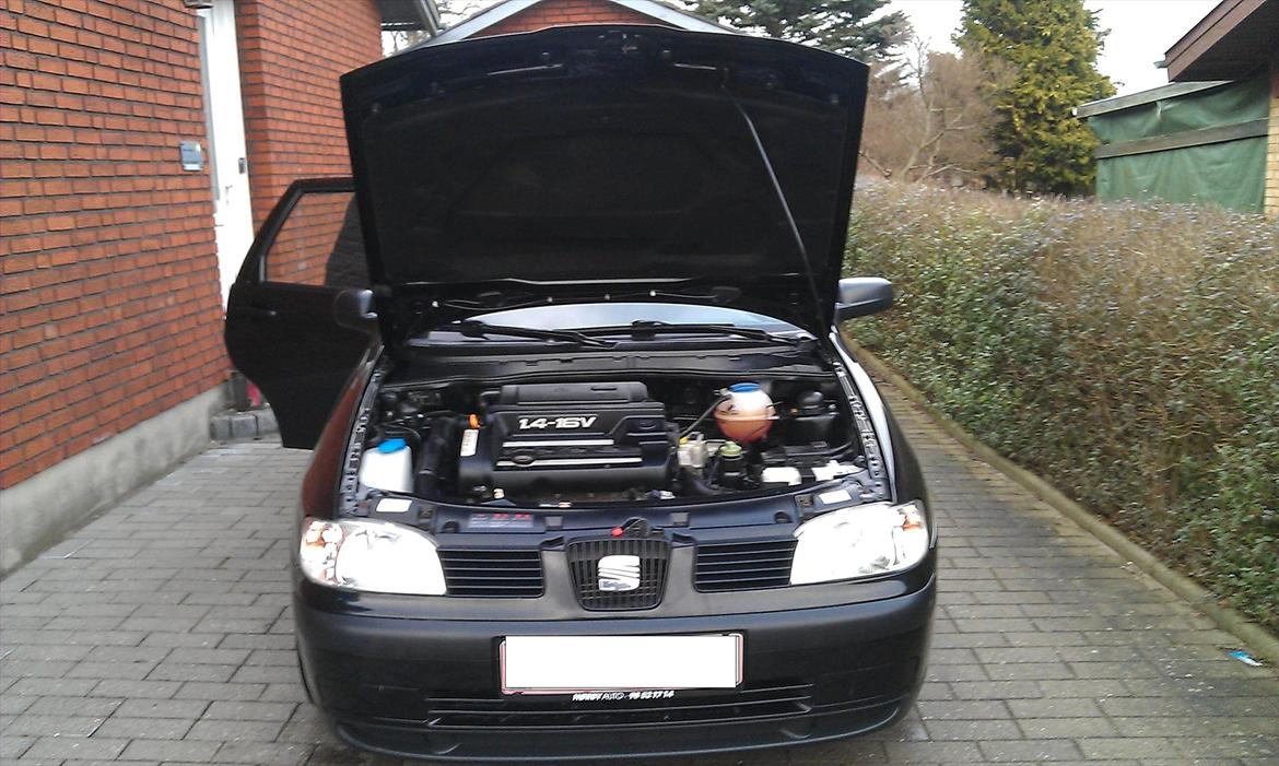 Seat Ibiza stella  SOLGT billede 5