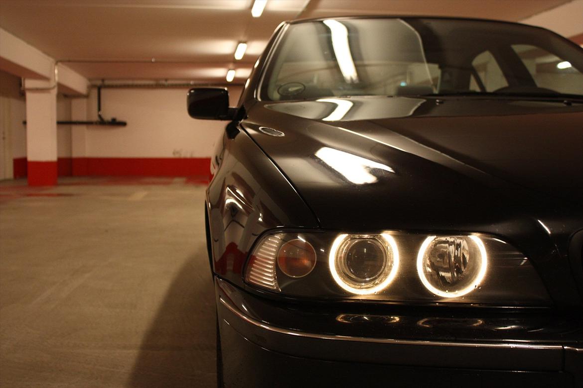 BMW 523i billede 8