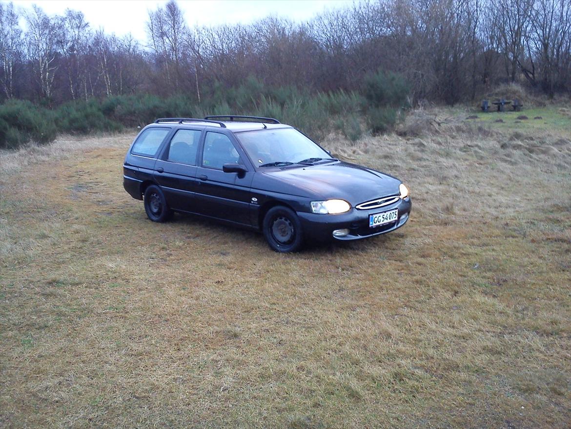 Ford Escort stc. billede 2