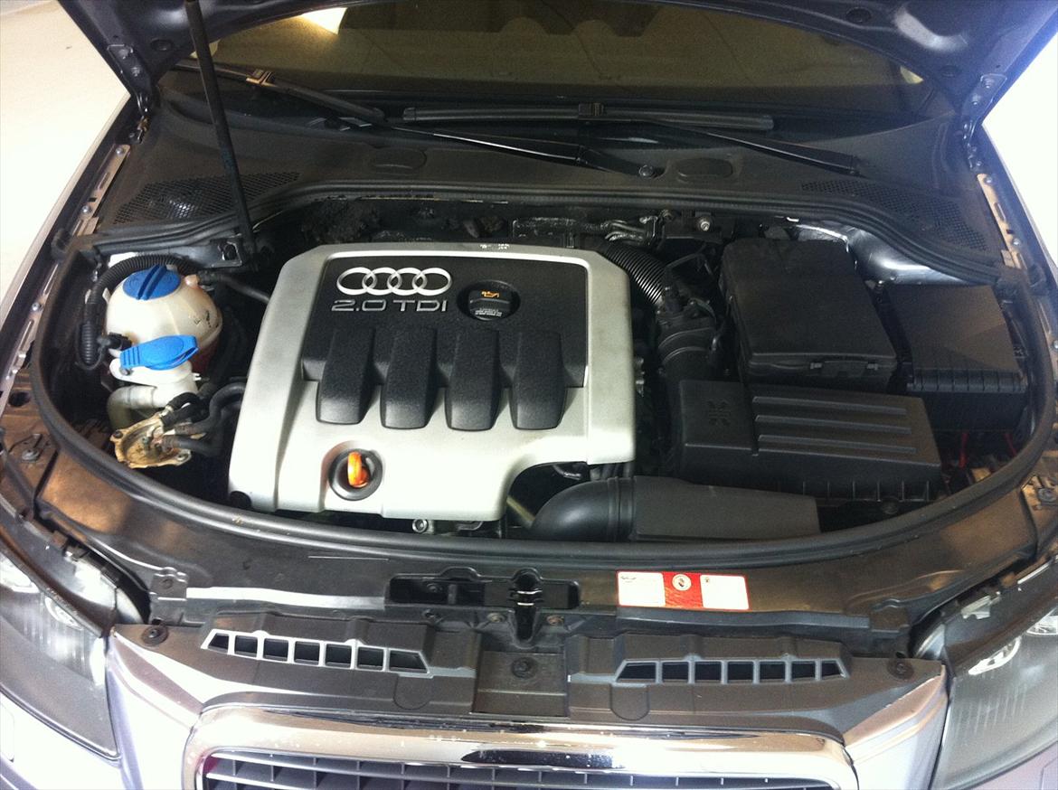 Audi A3 8p billede 10