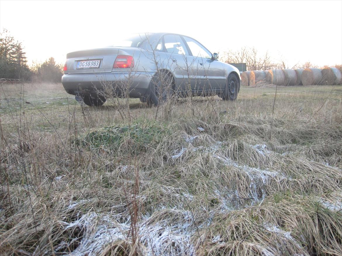 Audi a4 [Tidl. bil] billede 6