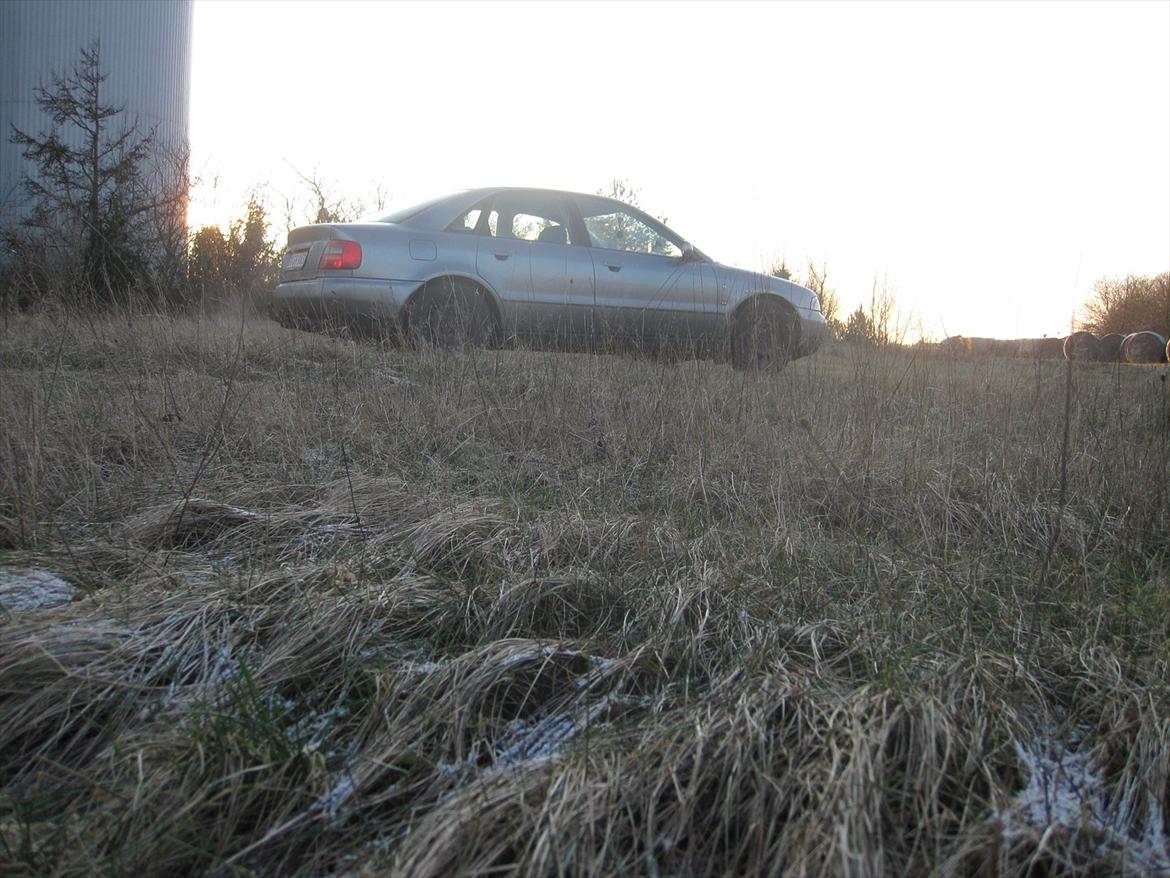 Audi a4 [Tidl. bil] billede 7