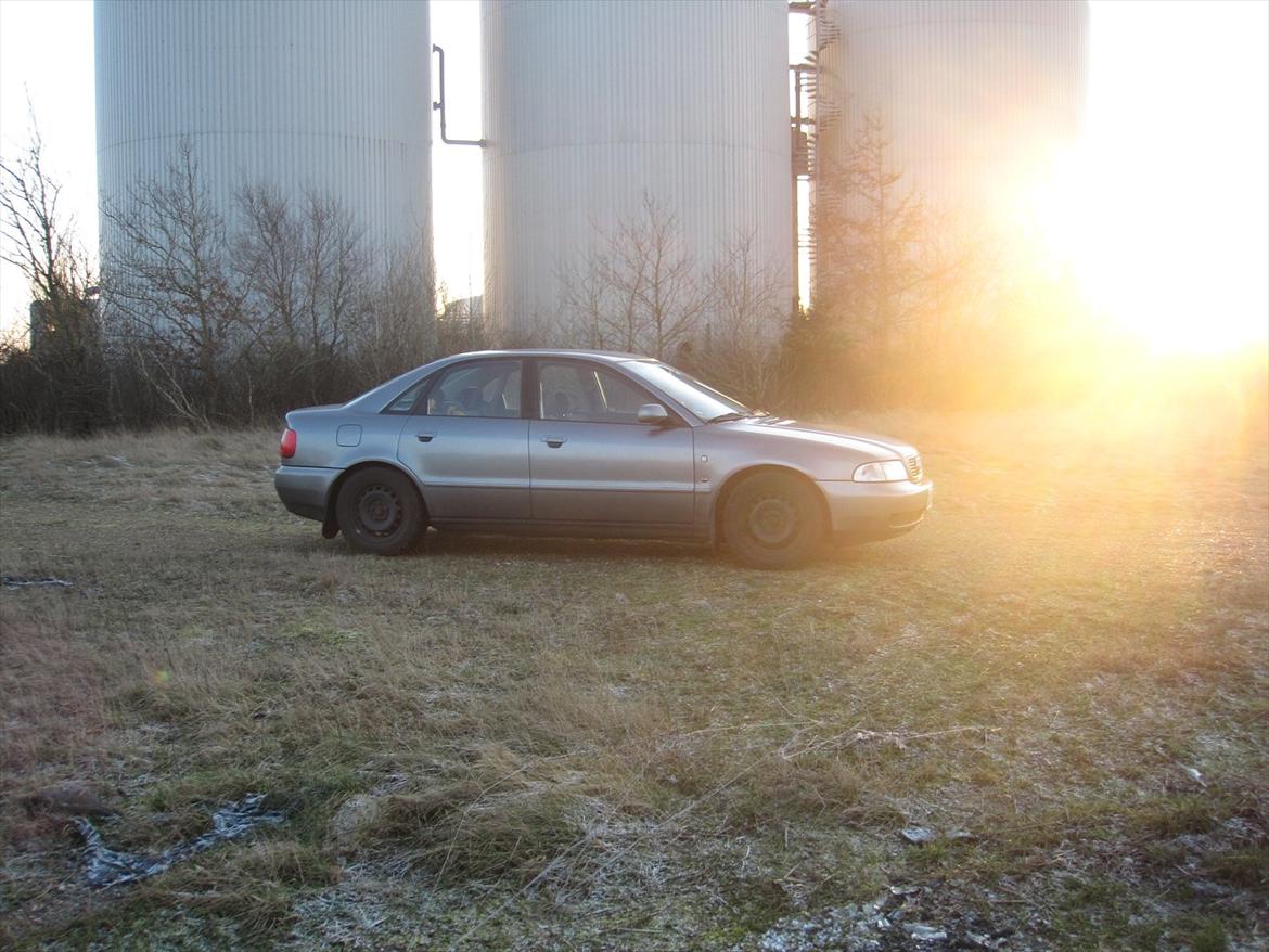 Audi a4 [Tidl. bil] billede 8