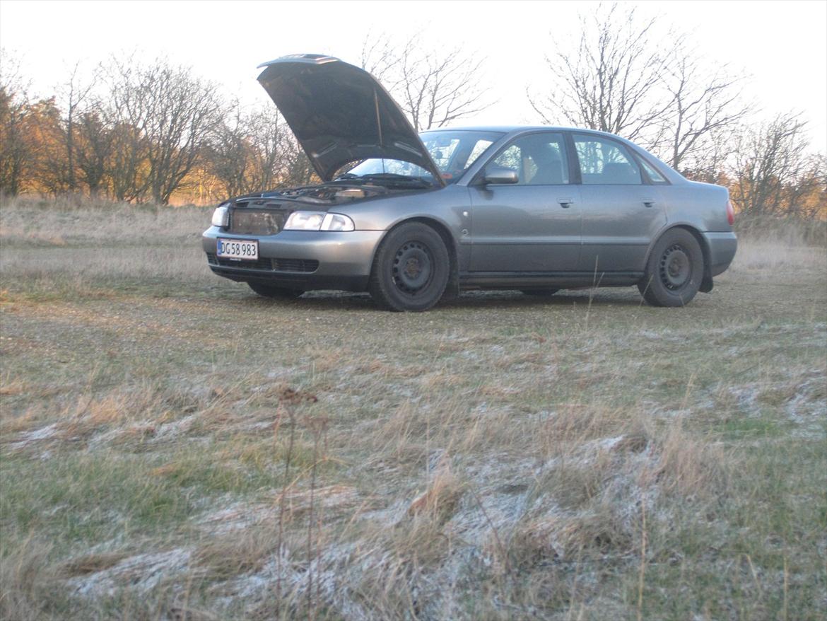 Audi a4 [Tidl. bil] billede 13