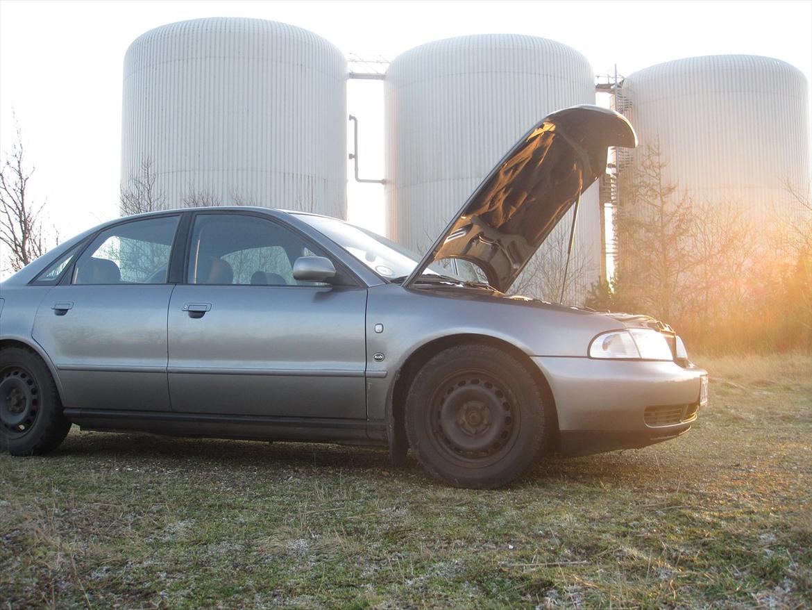 Audi a4 [Tidl. bil] billede 17